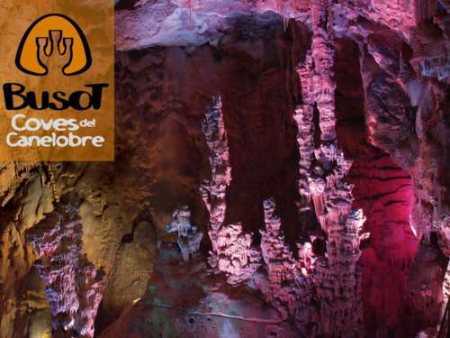 Excursión WCF 2024 visita a las cuevas de Canelobre